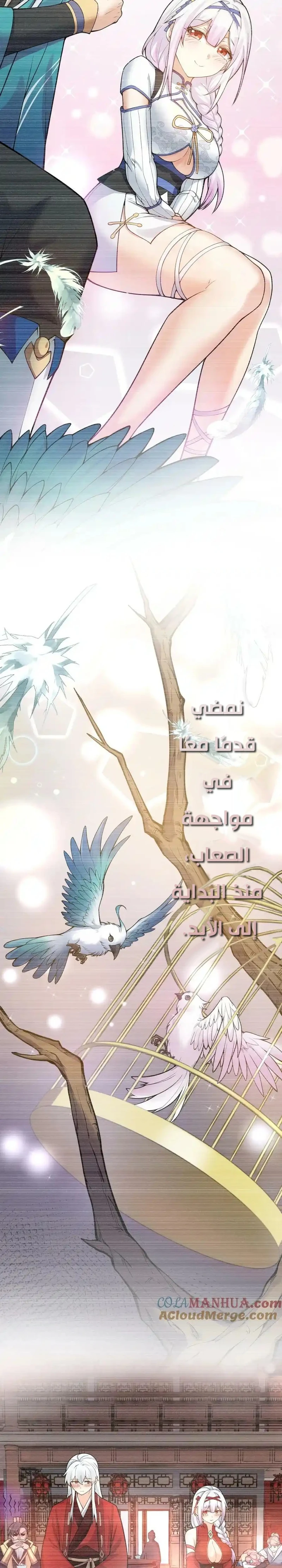 Chapter Image 15